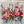 Candy Bloom Floral Wall Art