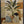 Tropical Vessel Still Life Wall Art