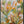 Garden Rhythm Floral Wall Art