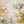Wildflower Meadow Floral Wall Art room scene 1 | Oildeco