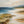 Windward Shore Coastal Wall Art room scene 1 | Oildeco