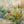 Wild Garden Floral Wall Art room scene 1 | Oildeco