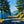 Pine Road Landscape Wall Art room scene 1 | Oildeco