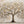 Blossom Tree Botanical Wall Art room scene 1 | Oildeco