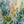 Rain Garden Floral Wall Art artwork detail | Oildeco