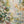 Original artwork view of Meadow Veil Floral Wall Art | OILDECO