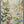 Meadow Veil Floral Wall Art real hand-painted artwork | OILDECO