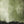 Olive Shadow Textured Wall Art room scene 1 | Oildeco