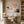 Peach Blocks Abstract Wall Art room scene 4 | Oildeco