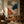 Terra Coast Abstract Wall Art room scene 2 | Oildeco