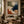Terra Coast Abstract Wall Art room scene 6 | Oildeco