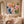 Blush Petal Floral Wall Art room scene 5 | Oildeco