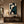 Teal Profile Abstract Wall Art displayed in a bright dining room | Oildeco