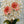 Original artwork view of Coral Blossom Floral Wall Art | OILDECO