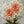 Coral Blossom Floral Wall Art room scene 2 | Oildeco