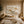 Ivory Petal Relief Wall Art artwork view | Oildeco