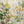 Meadow Mosaic Floral Wall Art | Oildeco
