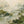 Sage Marsh Abstract Wall Art artwork view | OILDECO