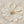 Ivory Daisy Relief Wall Art artwork view | OILDECO