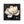 Midnight Magnolia Floral Wall Art | OILDECO