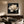 Midnight Magnolia Floral Wall Art styled interior scene 2 | OILDECO