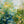 Wildflower Pond Floral Wall Art artwork view | OILDECO
