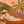 Tropical Reverie Figure Wall Art artwork view | OILDECO