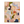 Pastel Mosaic Abstract Wall Art | OILDECO