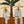 Palm Shade Duet Figure Wall Art artwork view | OILDECO