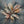 Original artwork view of Silver Petal Floral Wall Art | Oildeco