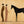 Desert Companions Horse Wall Art artwork view | OILDECO