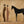 Desert Companions Horse Wall Art artwork view | OILDECO