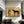 Desert Companions Horse Wall Art styled interior scene 5 | OILDECO