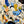 Confetti Line Abstract Wall Art artwork view | OILDECO
