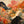 Autumn Canopy Landscape Wall Art artwork view | OILDECO