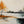Amber Birch Landscape Wall Art artwork view | OILDECO
