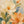 Apricot Bloom Floral Wall Art artwork view | OILDECO
