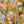 Garden Rhythm Floral Wall Art artwork view | OILDECO