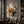 Amber Grid Abstract Wall Art shown in a quiet home office | Oildeco