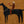 Western Toast Horse Wall Art artwork view | OILDECO