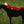 Crimson Repose Horse Wall Art artwork view | OILDECO