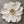 Original artwork view of Ivory Bloom Floral Wall Art | Oildeco