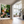 Wild Garden Reverie Textured Wall Art styled interior scene 3 | OILDECO