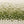Olive Canopy Textured Wall Art artwork view | OILDECO