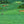 Emerald Fairways Golf Wall Art artwork view | OILDECO