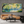 Sunlit Willow Lake Panoramic Wall Art styled interior scene 1 | OILDECO