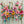 Candy Bloom Floral Wall Art artwork view | OILDECO