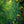 Emerald Blossom Cascade Textured Wall Art artwork view | OILDECO