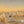 Sunlit Ivory Rooftops Wall Art artwork view | OILDECO