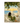 Seaside Morning Reading Wall Art | OILDECO